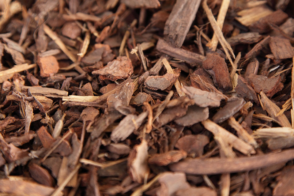 Tanbark Alchetron, The Free Social Encyclopedia